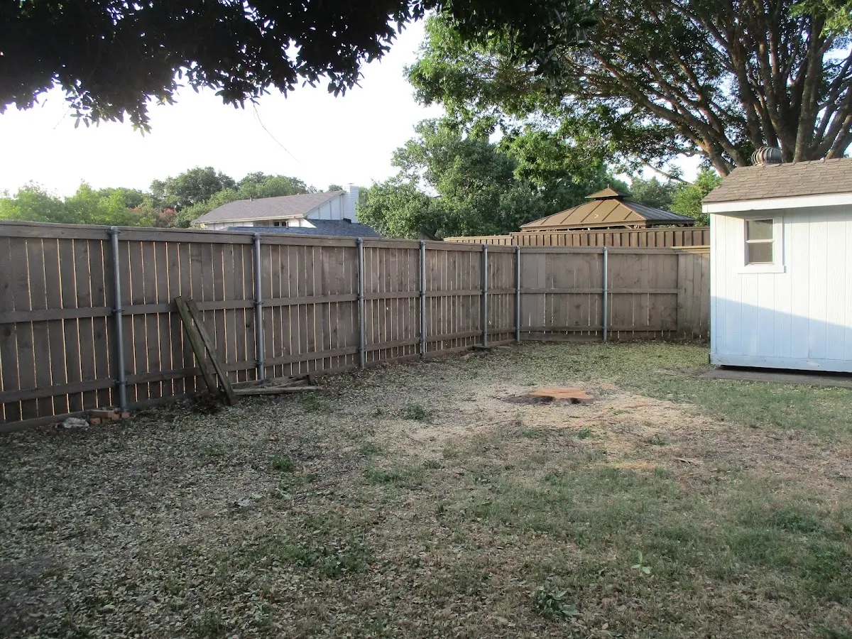 Cleared yard after professional tree removal in Cottage Hills